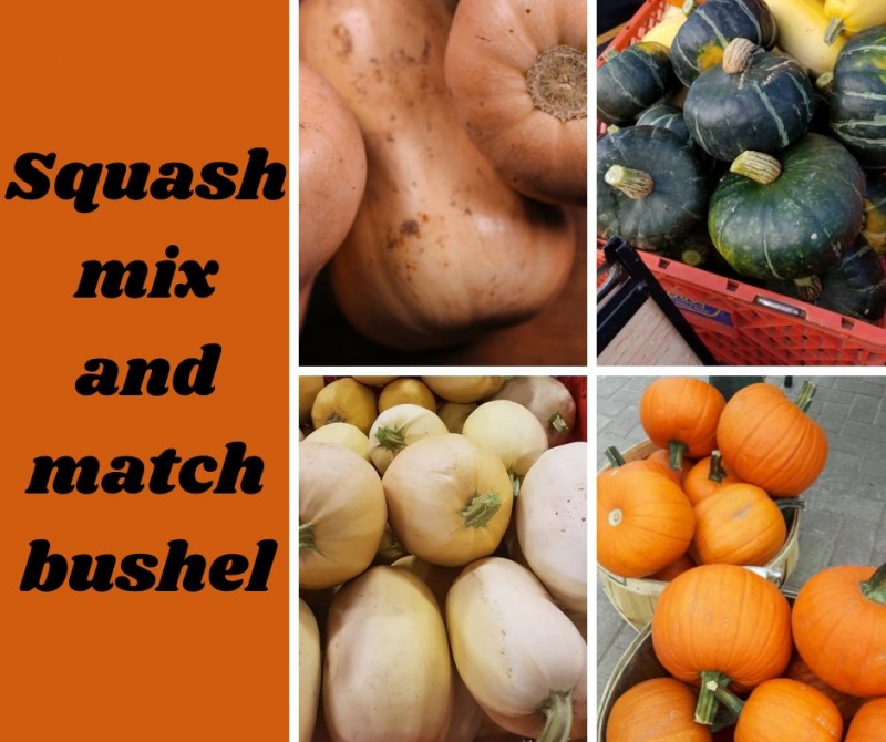 Squash Mix and Match Bag image